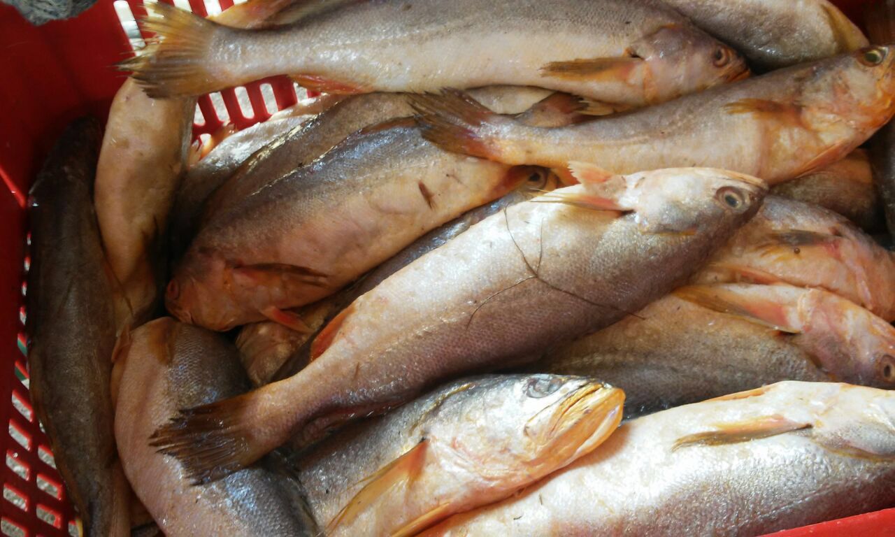 Peixes e Crustáceos